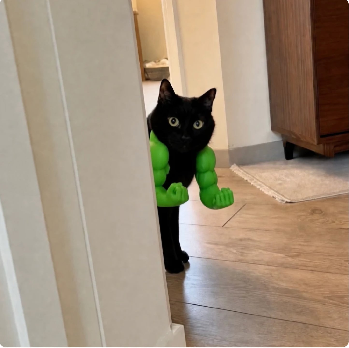 buffcat